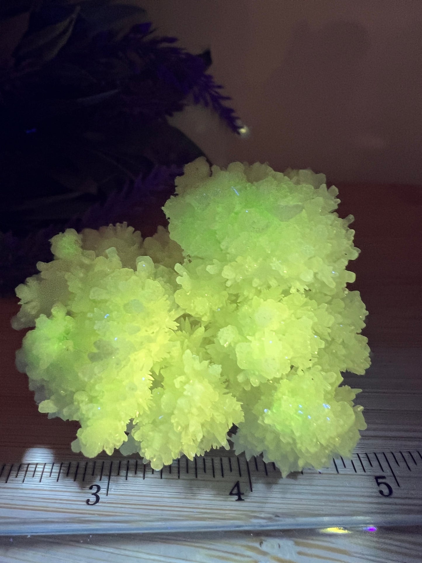 Fluorescent Aragonite Specimen (AG)