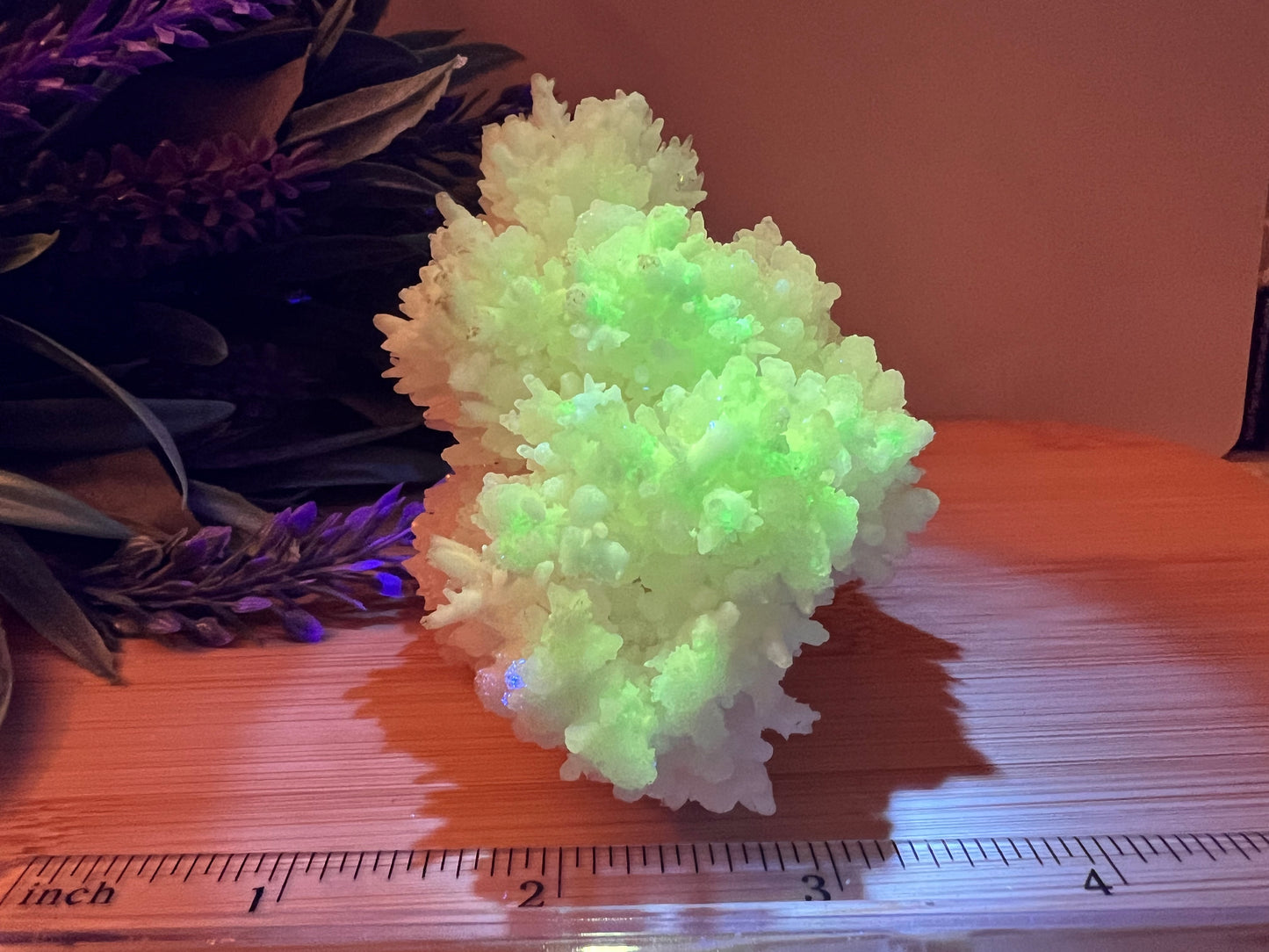 Fluorescent Aragonite Specimen (AF)