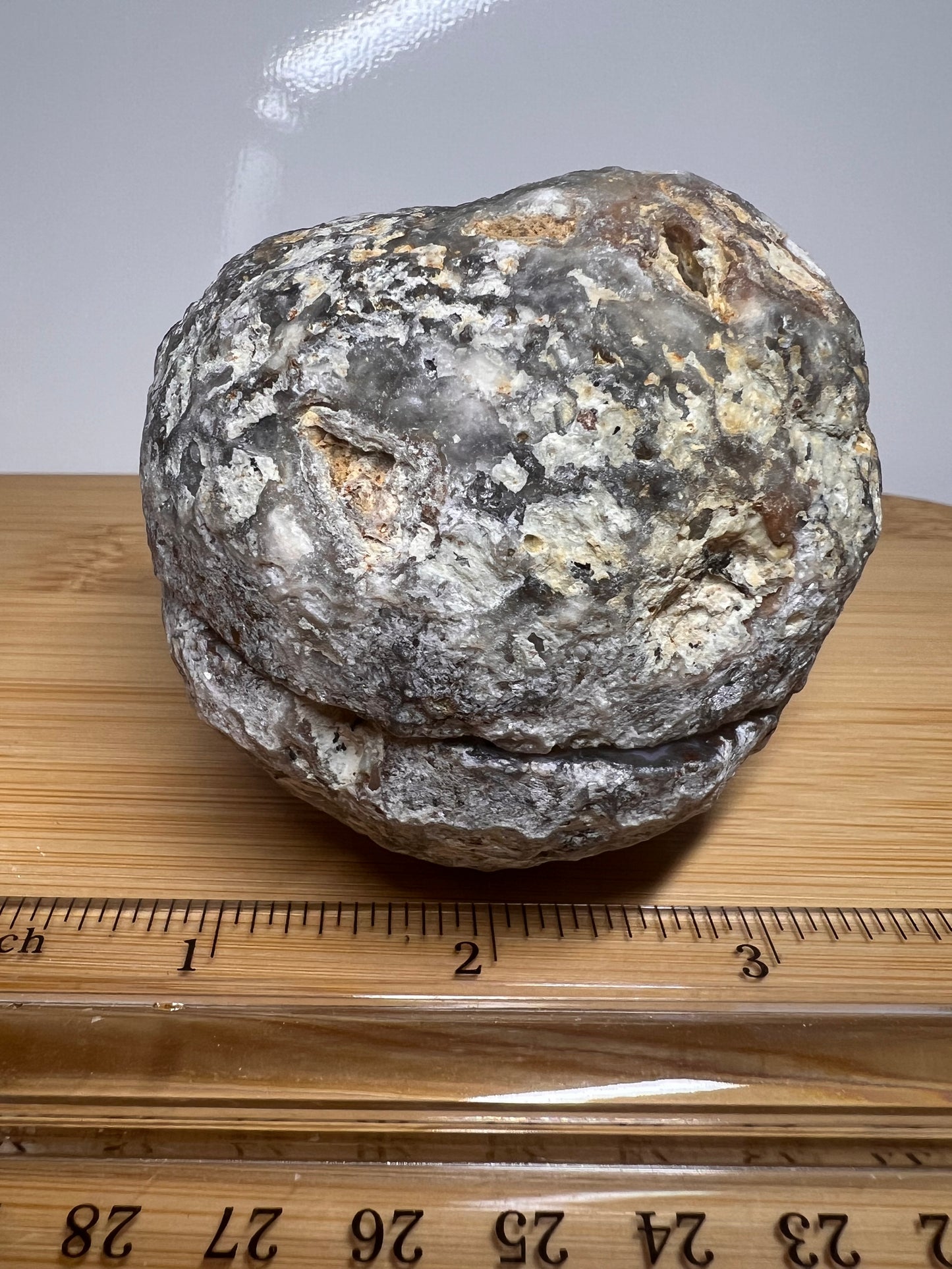 Fluorescent Coconut Geode (PAIR)