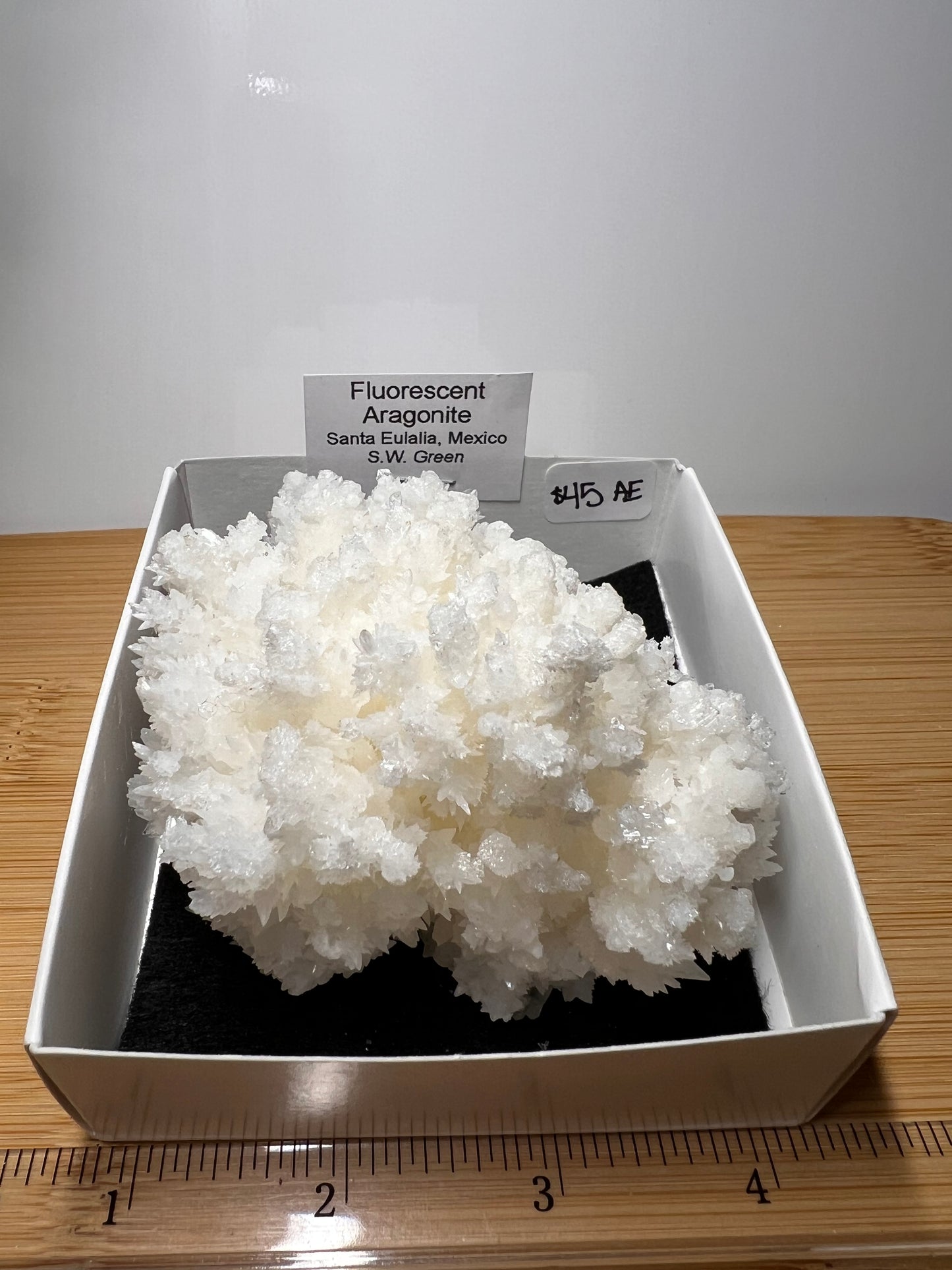 Fluorescent Aragonite Specimen (AE)