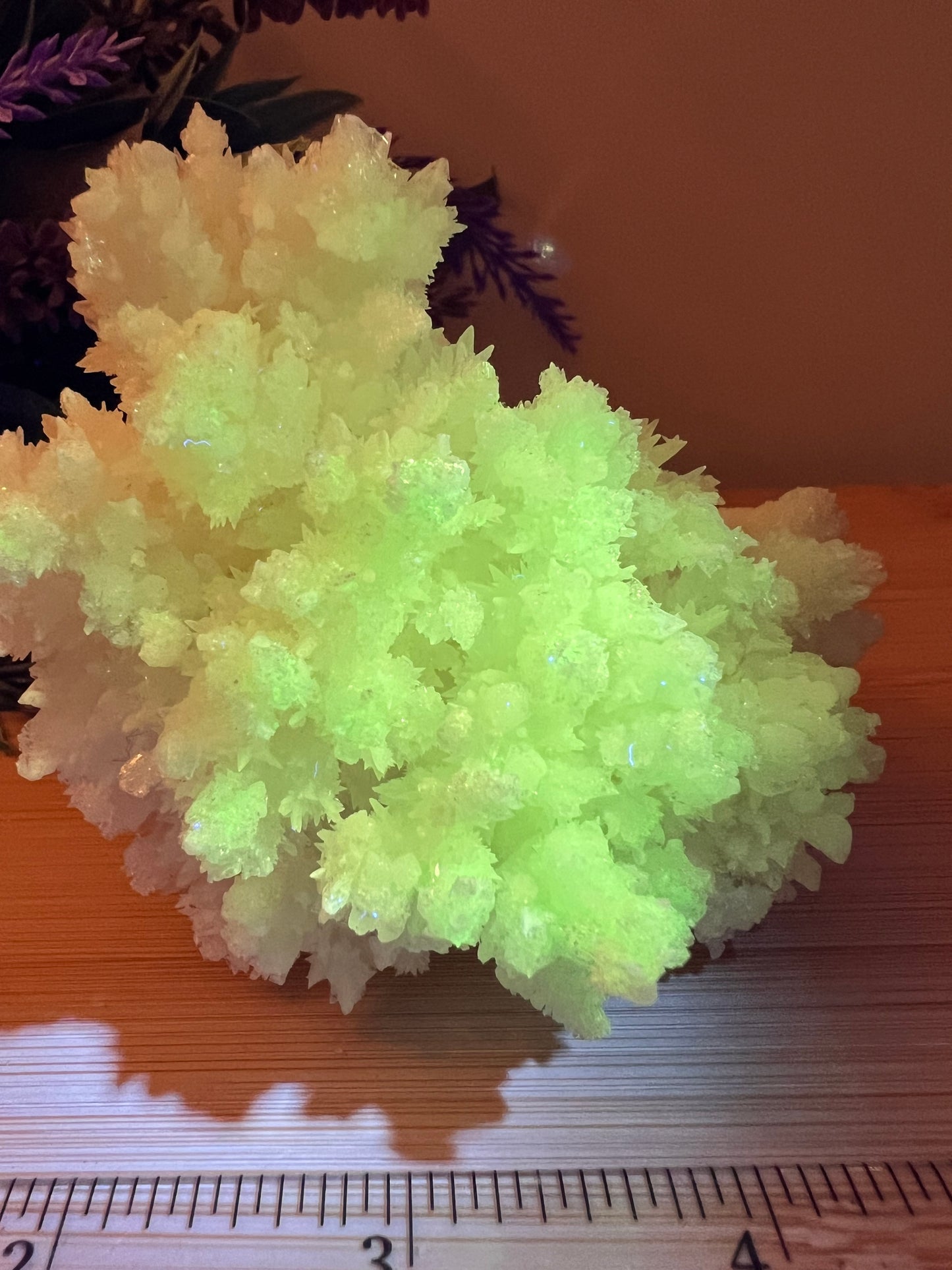 Fluorescent Aragonite Specimen (AE)