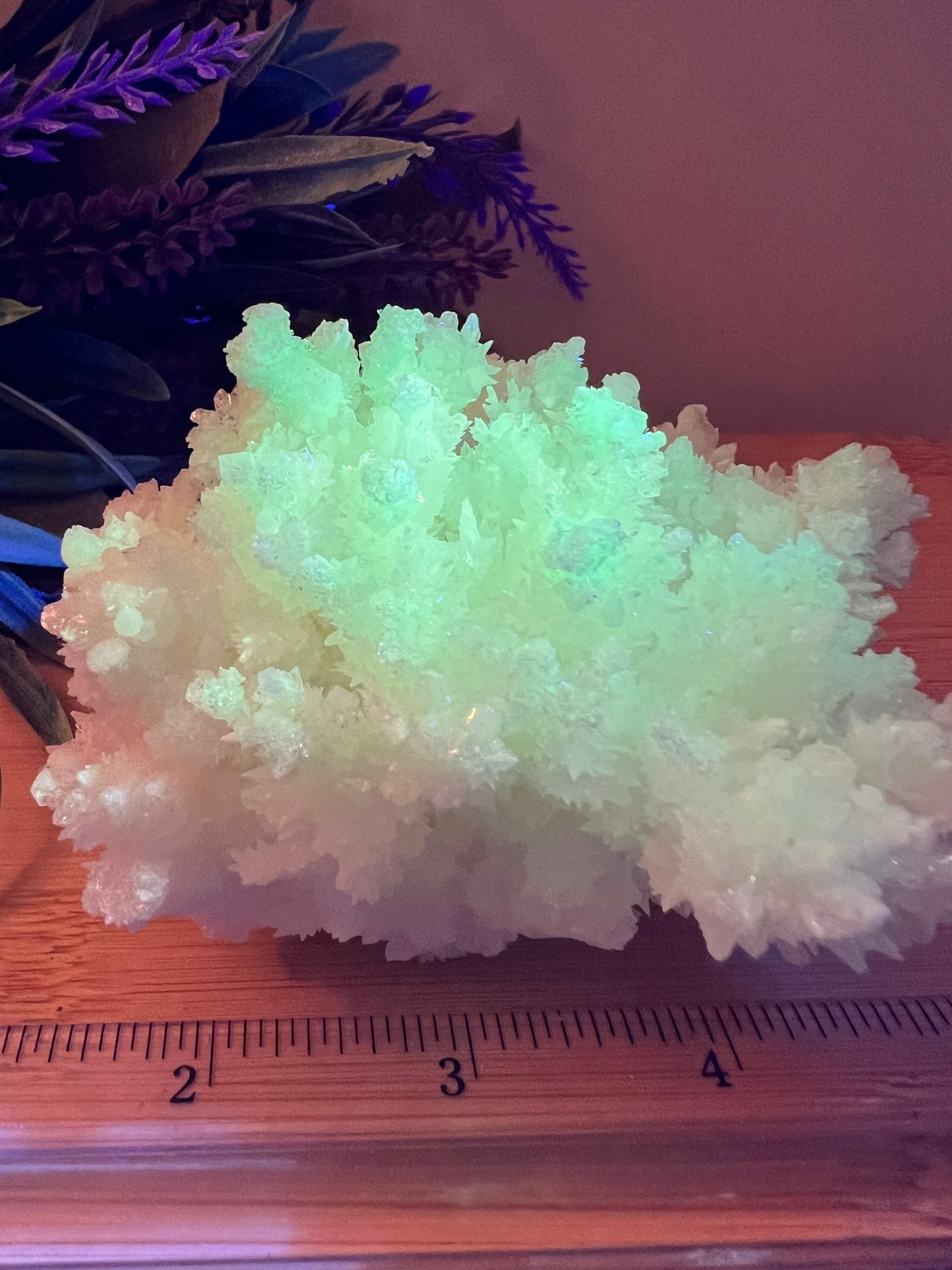 Fluorescent Aragonite Specimen (AE)