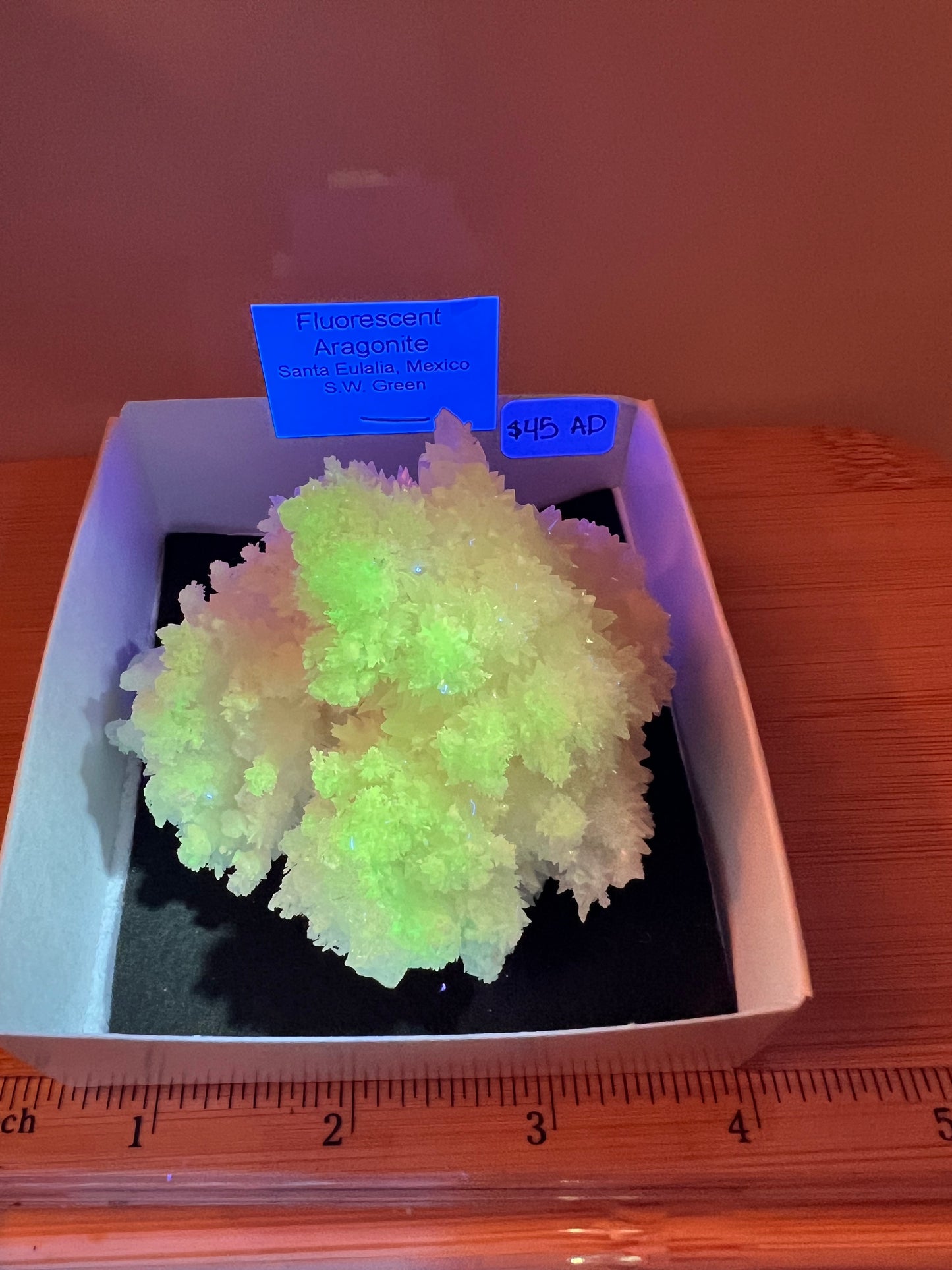 Fluorescent Aragonite Specimen (AD)
