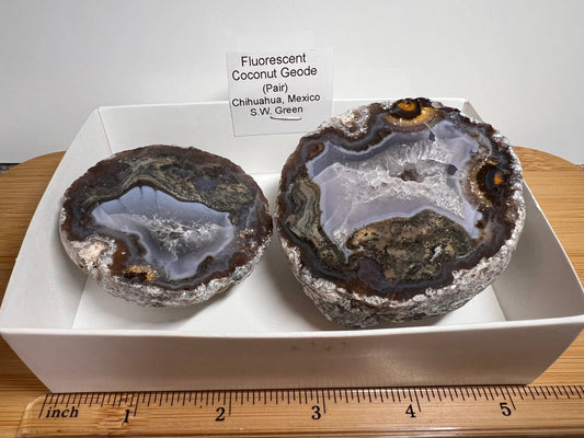 Fluorescent Coconut Geode (PAIR)